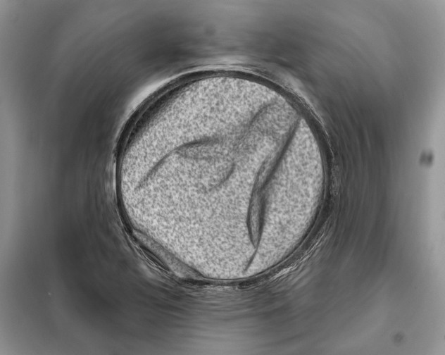 X0000098071320200805020948