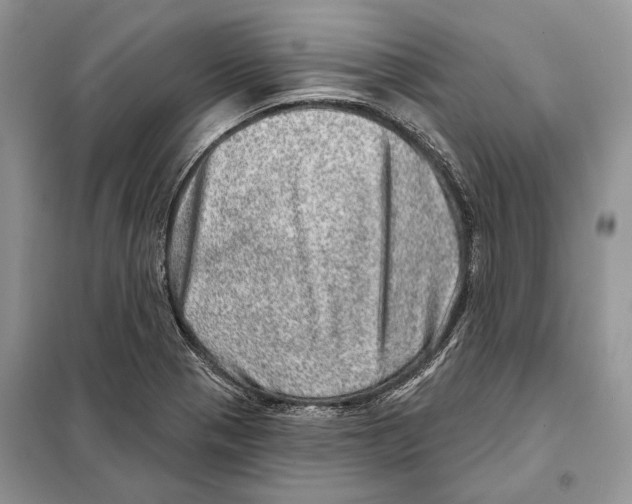 X0000098071321200805020948