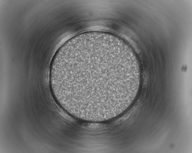 X0000098071322200805020948