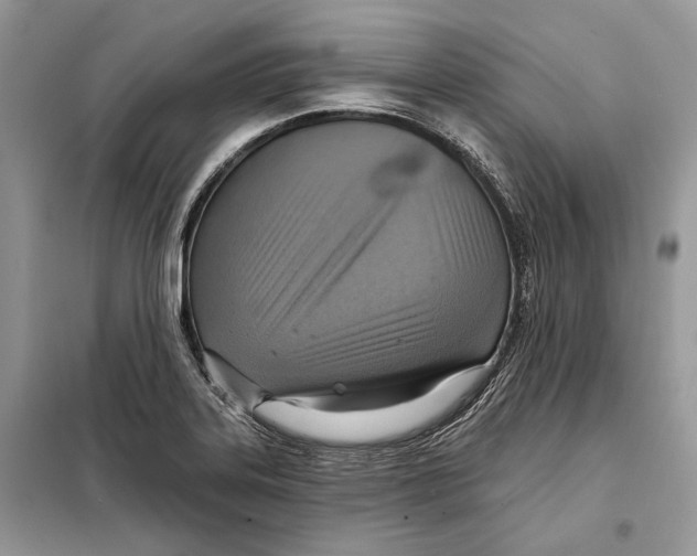 X0000098071323200805020948