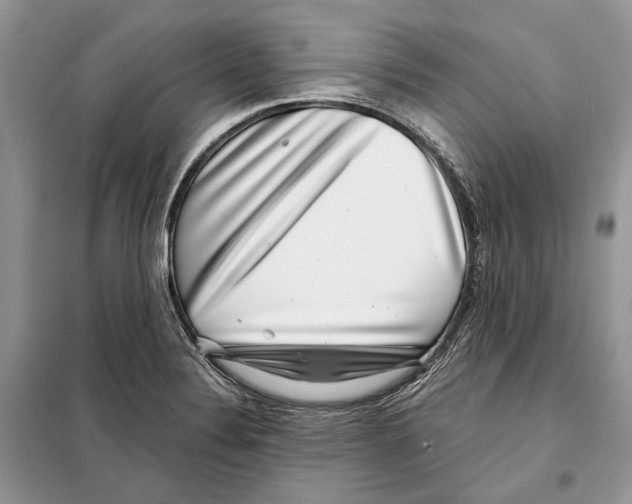 X0000098071324200805020948