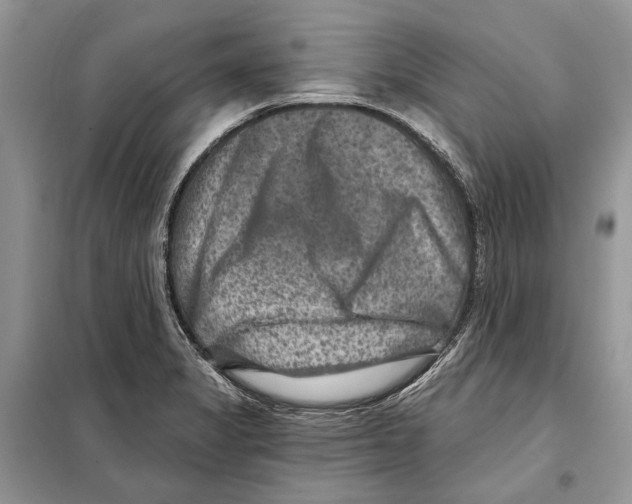 X0000098071325200805020948