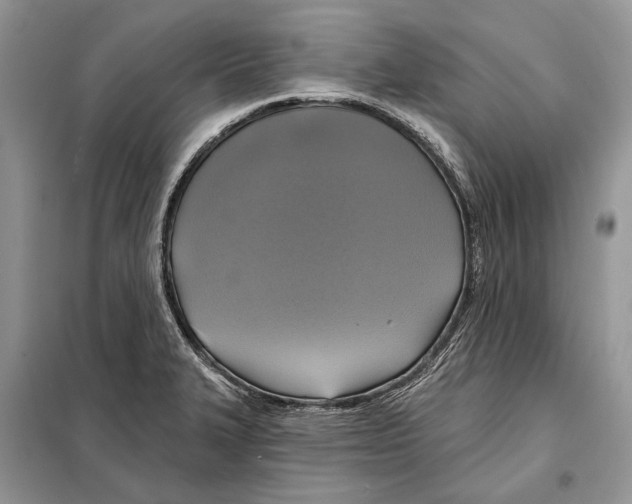 X0000098071327200805020948