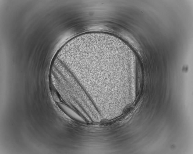 X0000098071330200805020948