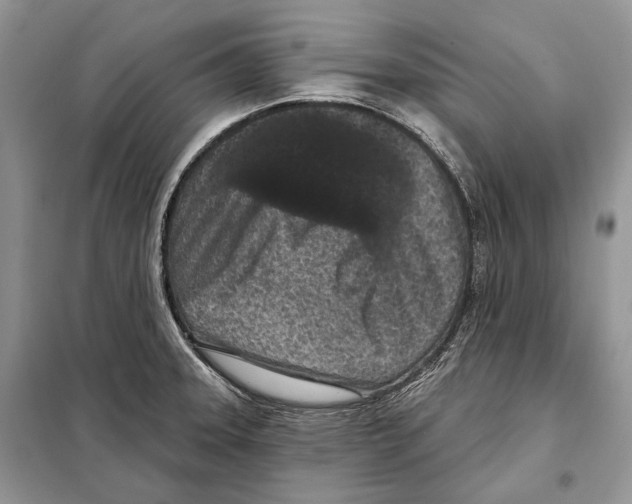 X0000098071331200805020948