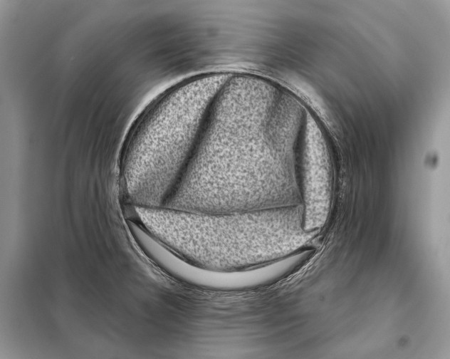 X0000098071332200805020948