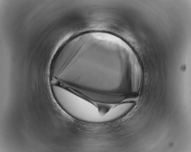 X0000098071334200805020948