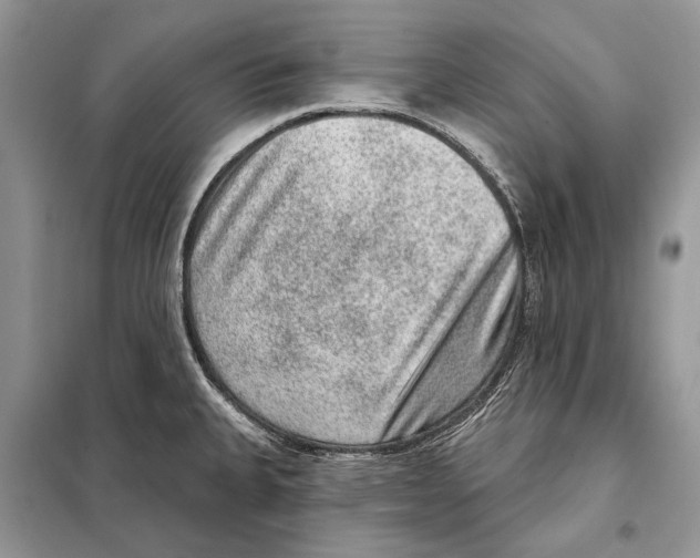 X0000098071335200805020948