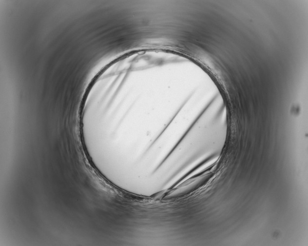 X0000098071336200805020949