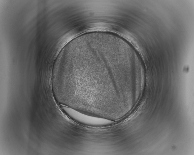 X0000098071337200805020949