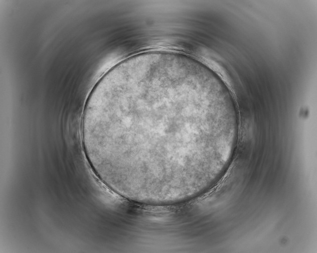 X0000098071338200805020949