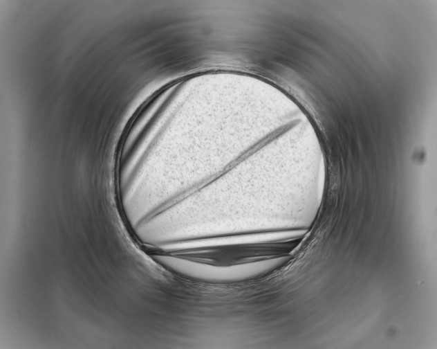 X0000098071339200805020949