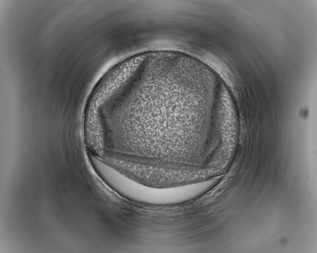 X0000098071342200805020949