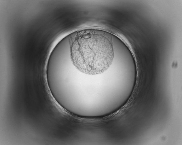 X0000098071344200805020949