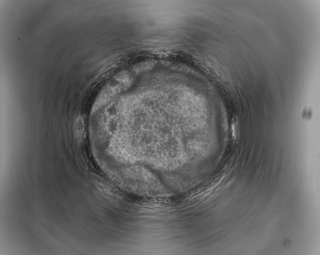 X0000098071347200805020948