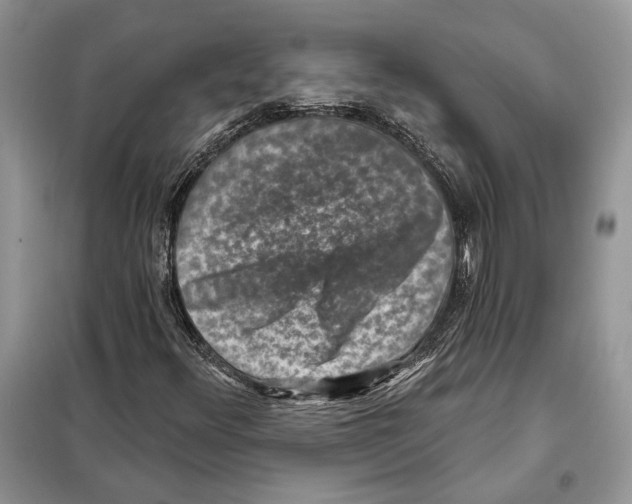 X0000098071348200805020948