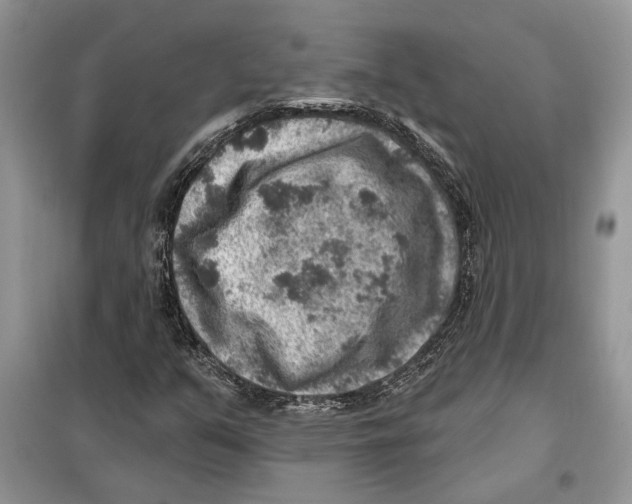 X0000098071351200805020948