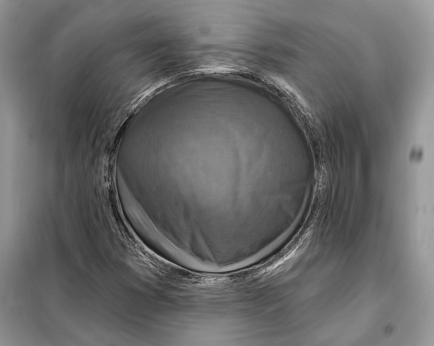 X0000098071353200805020948