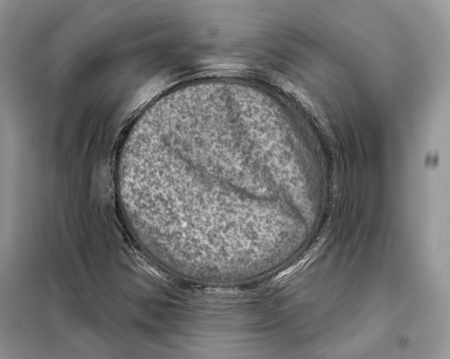 X0000098071354200805020948