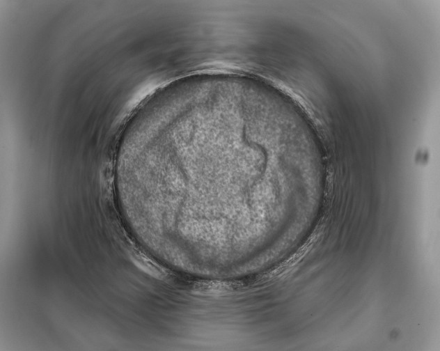 X0000098071355200805020948