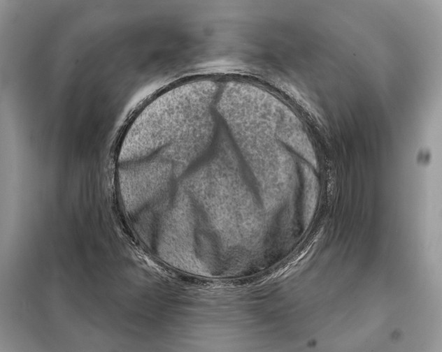 X0000098071358200805020948