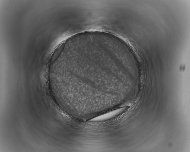 X0000098071359200805020948