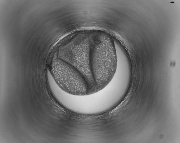 X0000098071361200805020948