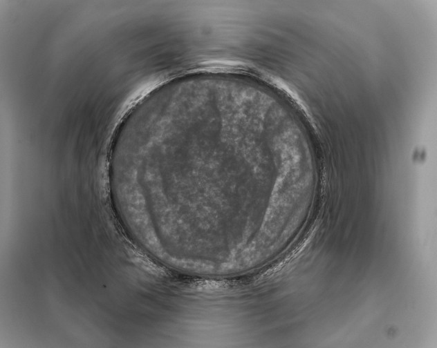 X0000098071362200805020948