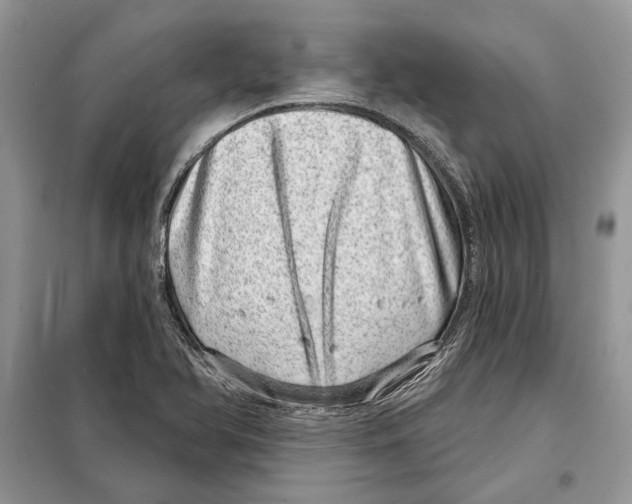 X0000098071366200805020948