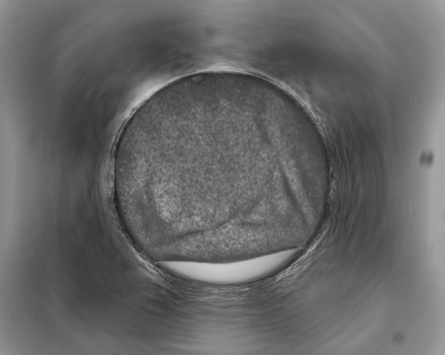 X0000098071367200805020948