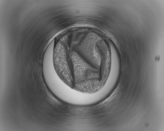 X0000098071369200805020948