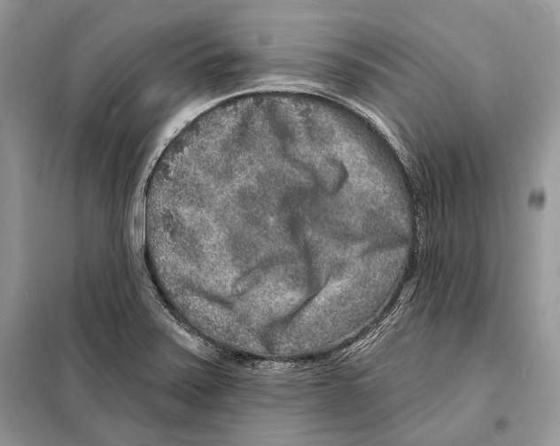 X0000098071371200805020948