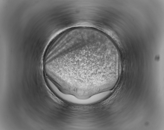 X0000098071372200805020948