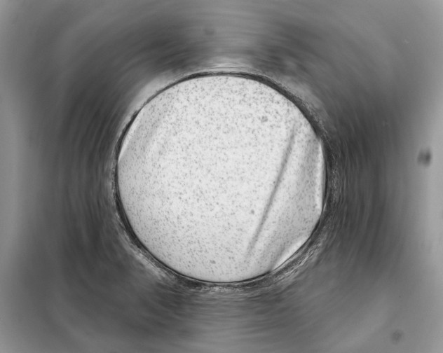 X0000098071374200805020948