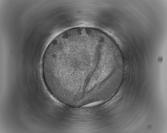 X0000098071375200805020948