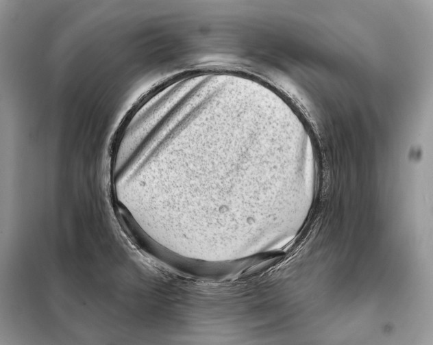 X0000098071376200805020948