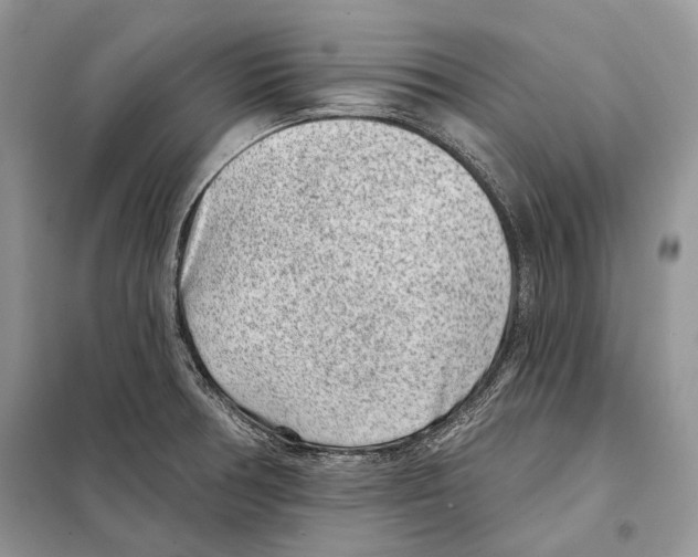 X0000098071378200805020948