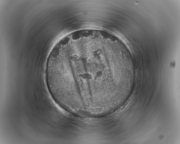 X0000098071379200805020947