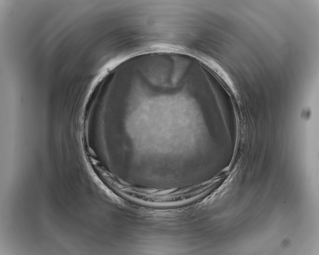 X0000098071381200805020947