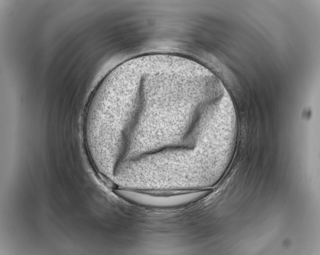 X0000098071382200805020947