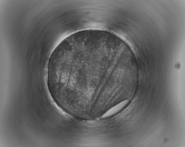 X0000098071383200805020947