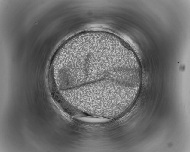 X0000098071384200805020947