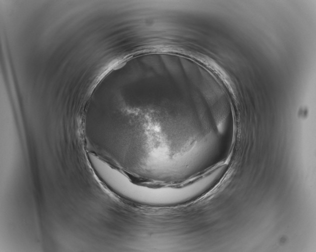 X0000098071385200805020947