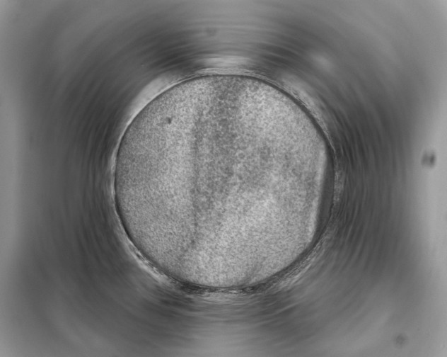 X0000098071386200805020947