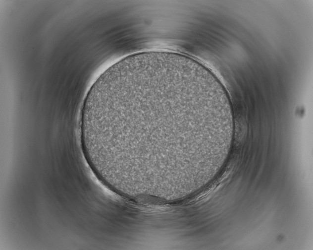 X0000098071387200805020947