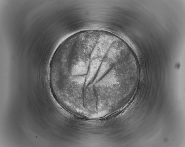 X0000098071388200805020947