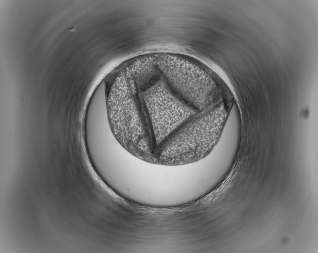 X0000098071389200805020947