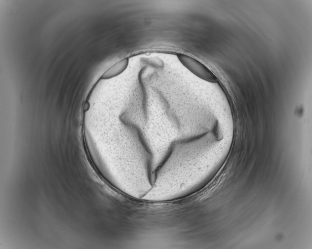 X0000098071390200805020947