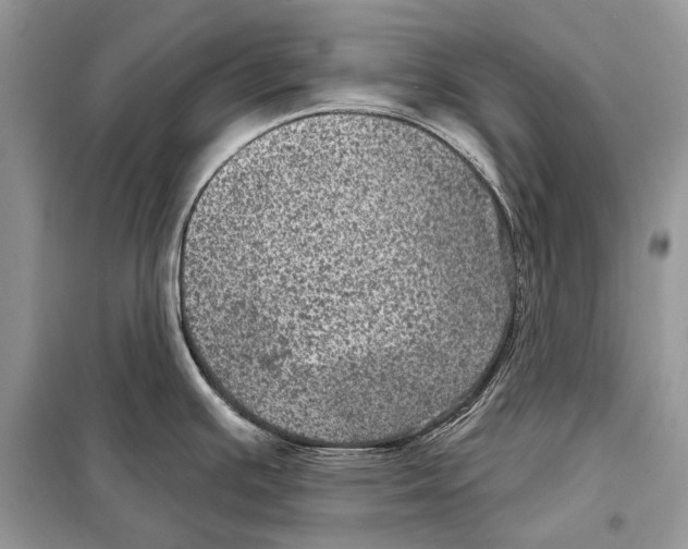 X0000098071391200805020947