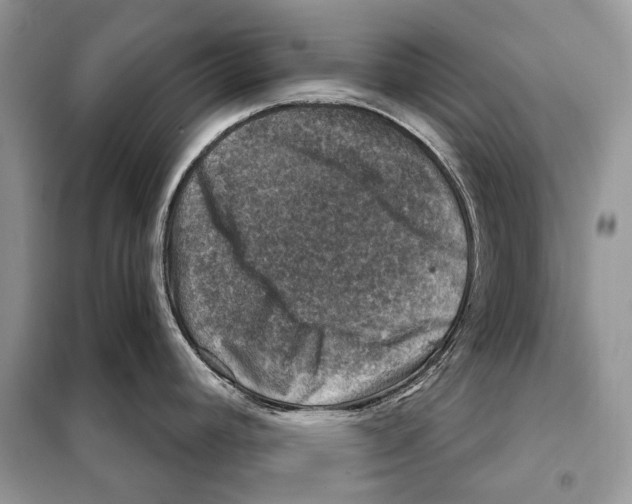 X0000098071392200805020947